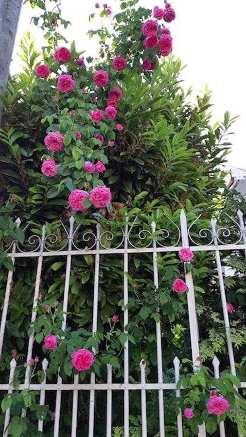 Doux Cocon De 50 M2 Paris-Le Raincy Exterior foto